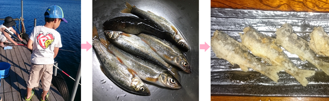 魚釣り.pngのサムネール画像